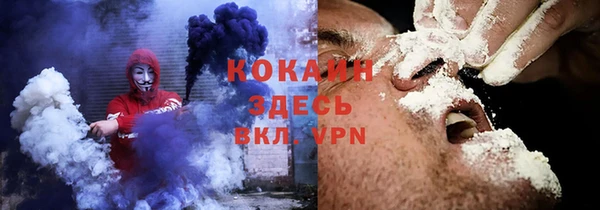 хмурый Арсеньев