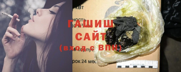 хмурый Арсеньев