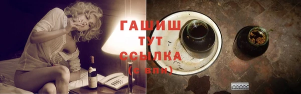 хмурый Арсеньев