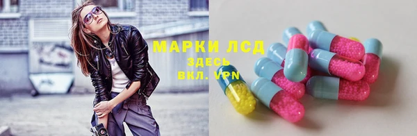 СК Аркадак