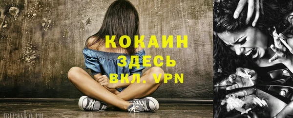 хмурый Арсеньев