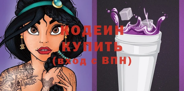 хмурый Арсеньев