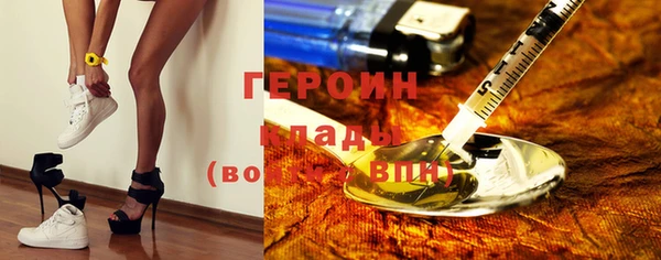 хмурый Арсеньев