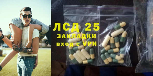хмурый Арсеньев